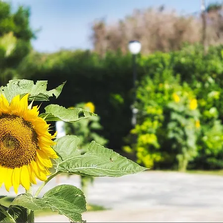 Alojamento de Acomodação e Pequeno-almoço Karrares Melendugno